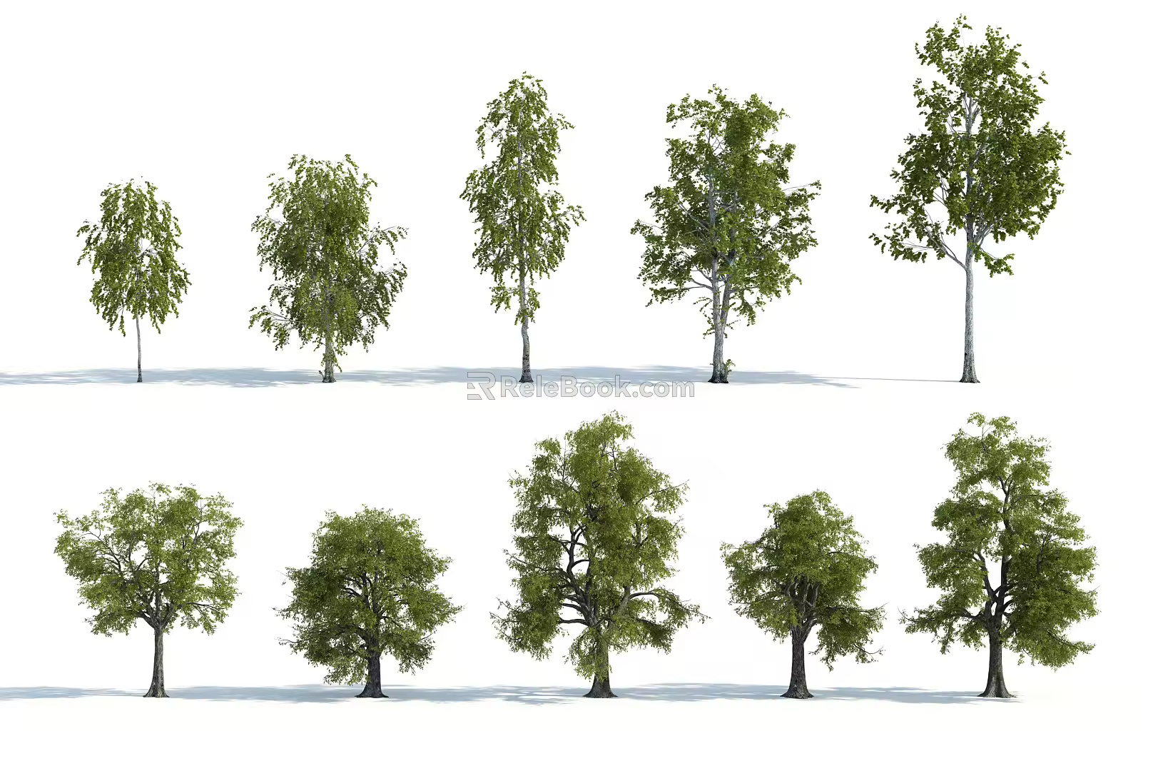 The Modern Tree 3d model