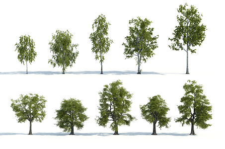 The Modern Tree 3d model