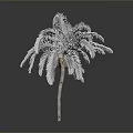 Silver Palm Tree with Feathery Fronds and Brown Trunk on Neutral Grey Background