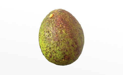 avocado fruit 3d model