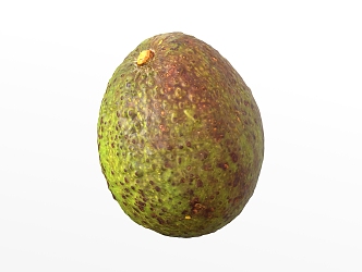 avocado fruit 3d model