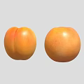 Fresh Ripe Orange Whole and Halved Apricot with Visible Seed