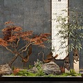 New Chinese Courtyard Interior Landscape Sick Crane Stone Bamboo Maple Plant Combination 3d model