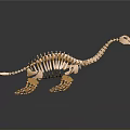 Artistic Detailed Golden Turtle Skeleton on Dark Background with Reflection