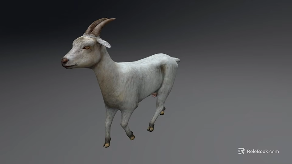 White Goat with Curved Horns Standing on Gray Background 3d model 
