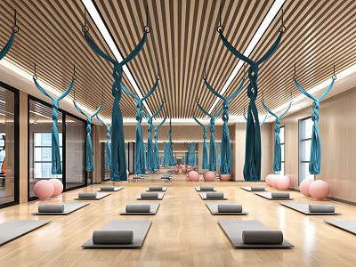Yoga Studio With Aerial Hammocks Yoga Mats And Balls 3d model