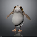 Cute Bird with Big Eyes Orange Head and White Body Standing on Dark Background