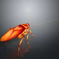 Orange Cockroach With Long Antennae And Detailed Body On Dark Background