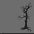 Dead Tree With Twisted Trunk Leafless Branches And Exposed Roots In Gray Background 3d model