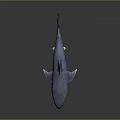 3D Rendered Blue Shark with Open Mouth Sharp Teeth on Grey Background