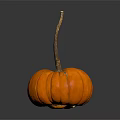 Fresh Ripe Orange Pumpkin With Long Stem As Healthy Food Ingredient