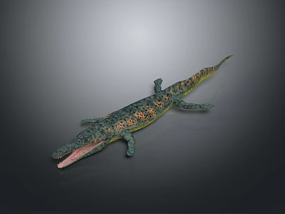 Crocodile 3D Model With Spotted Skin Open Mouth Lying On Dark Background 3d model
