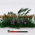 Lush Green Grasses And Purple Flowers In Garden Landscape