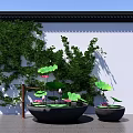 Zen Style Fish Tank Aquarium with Lotus Plants and Green Wall