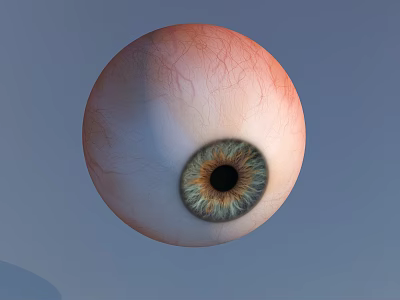 Detailed Human Eye with Red Blood Vessels Green Yellow Iris Black Pupil On Blue Background 3d model