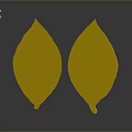 Healthy And Unhealthy Plant Leaves With Vibrant And Dull Color Patterns