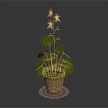 Green Potted Plant With Red Veined Leaves And Pink Flowers On White Lace Doily