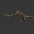 Intricate Tree Root System with Twisted Branches and Natural Texture 3d model