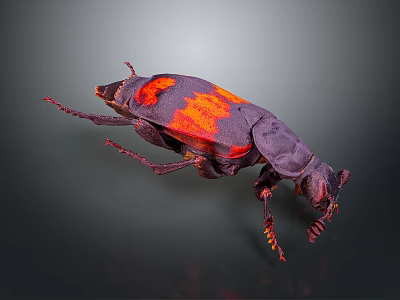 Dark Purple Beetle with Orange Markings Detailed Closeup View on Dark Background 3d model