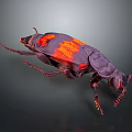 Dark Purple Beetle with Orange Markings Detailed Closeup View on Dark Background