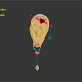 Stylish Ear Jewelry Including Red Heart Pendants And Pink Gemstone Decorations On Ear Model