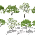 Modern Tree Landscape Tree 3d model
