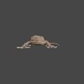 Detailed Brown Gecko Game and Movie Character 3D Model with Large Eyes on Black Background