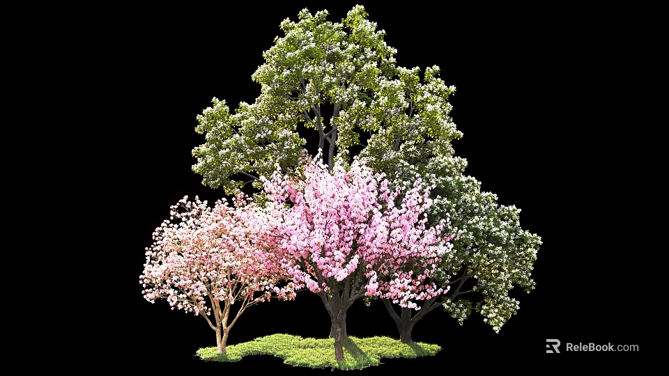 Various Blooming Trees With Pink Flowers Green Leaves And Lush Grass 3d model 