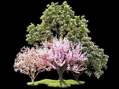 Various Blooming Trees With Pink Flowers Green Leaves And Lush Grass 3d model
