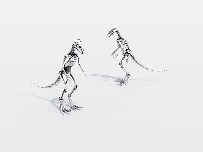 Artistic Rendering Of Two Standing Dinosaur Skeletons On White Background 3d model