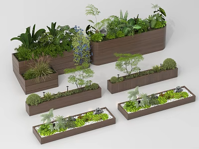 Plant Combinations In Wooden Planters With Various Green Plants And Decorative Foliage 3d model