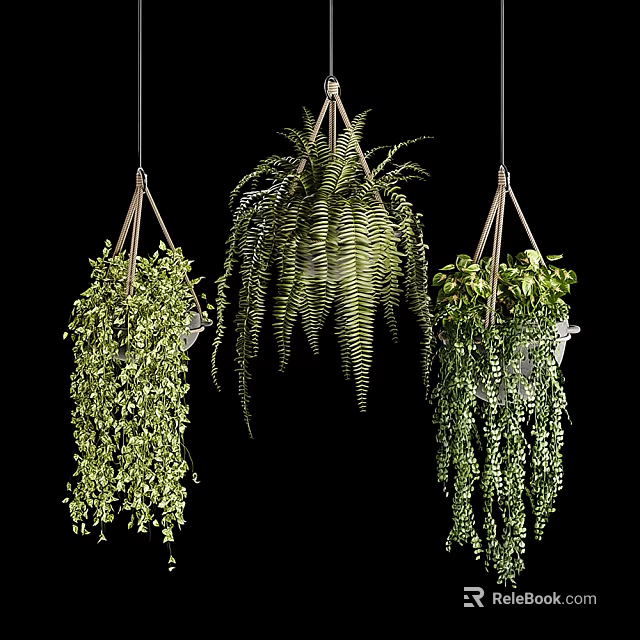 Lush Green Hanging Basket Plants With Trailing Leaves And Suspended Design 3d model 