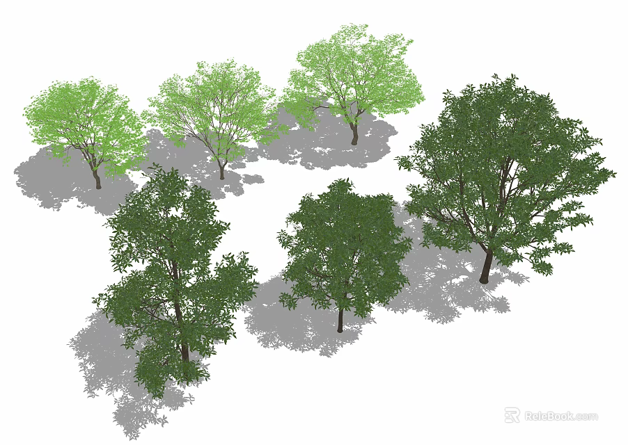 Various Arbor Trees with Lush Green Foliage and Natural Shade for Landscaping 3d model 
