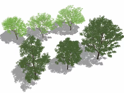 Various Arbor Trees with Lush Green Foliage and Natural Shade for Landscaping 3d model