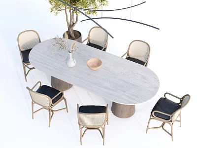 Oval Light Gray Dining Table Set With Rattan Chairs Black Seats Vase And Tree 3d model