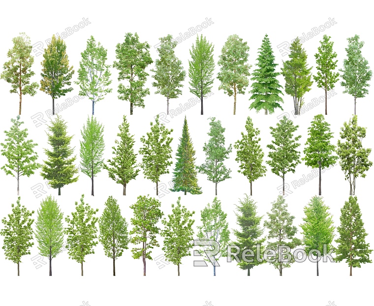 2D Metasequoia fir single-pole arbor street tree park arbor wetland arbor model