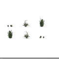 Green Crop Plants Showcasing Various Growth Stages With Different Heights And Leaf Shapes