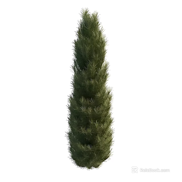Tall Evergreen Cypress Arbor with Lush Dense Foliage and Slender Upright Shape 3d model 