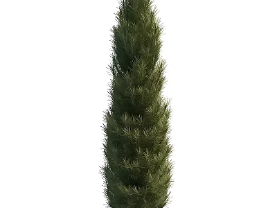 Tall Evergreen Cypress Arbor with Lush Dense Foliage and Slender Upright Shape 3d model