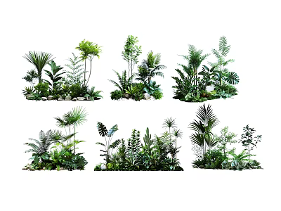 Diverse Tropical Plant Combinations With Green Foliage And Indoor Decor 3d model