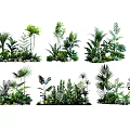 Diverse Tropical Plant Combinations With Green Foliage And Indoor Decor