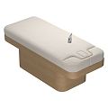 Modern massage bed remote control massage bed 3d model