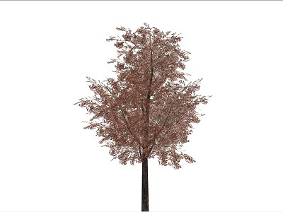 Modern Trees model