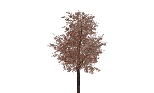 Modern Trees 3d model