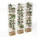 Golden Multi Tiered Shelves With Various Potted Green Plants For Indoor Decor