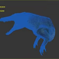 Modern Crocodile Alligator Nile Alligator Lizard 3d model