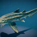 Spotted Shark With Streamlined Body And Dorsal Fins Swimming In Blue Underwater Environment