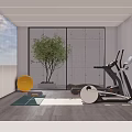 Modern Home Gym Interior With Treadmill Exercise Balls Yoga Mat And Green Plant