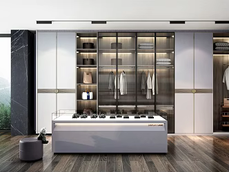 Modern Cloakroom 3d model
