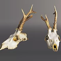 Decorative Deer Skulls With Natural Antlers For Home